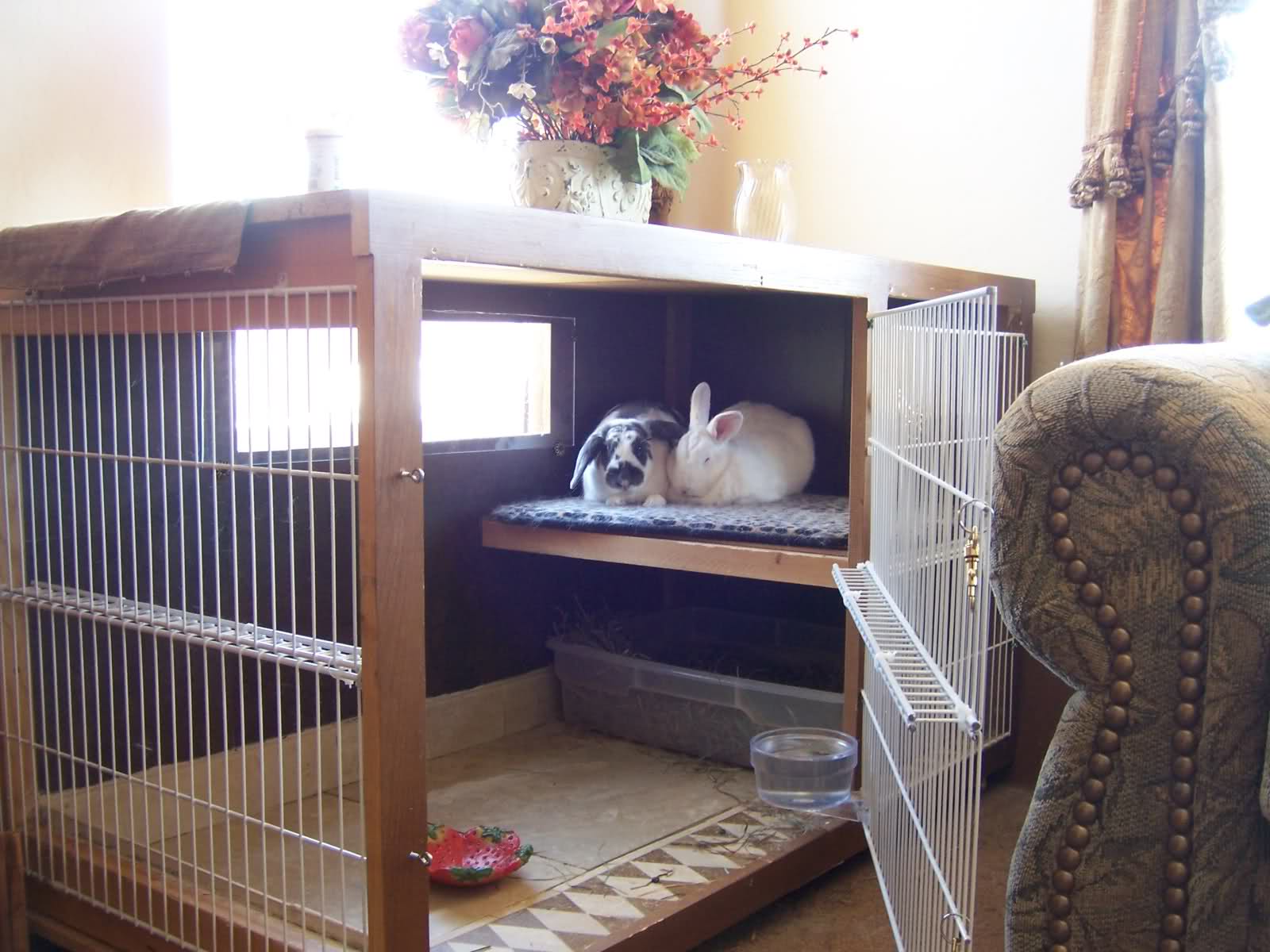 stylish indoor rabbit hutch