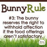 Bunny Rule 3