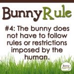 Bunny Rule 4