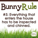 Bunny Rule 5