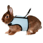Trixie Rabbit Soft Harness and Leash Set
