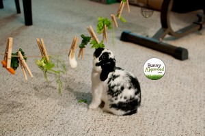 DIY Rabbit Toy Clothesline Idea