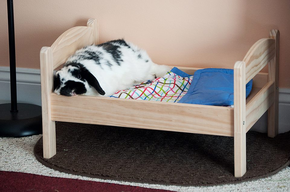 Bunny Ikea Bed - Bunny Approved - House Rabbit Toys 