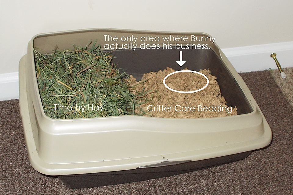Image result for litter box for bunny